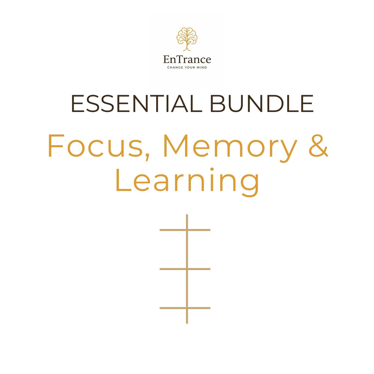 Essential Bundle – Focus, Memory & Learning
