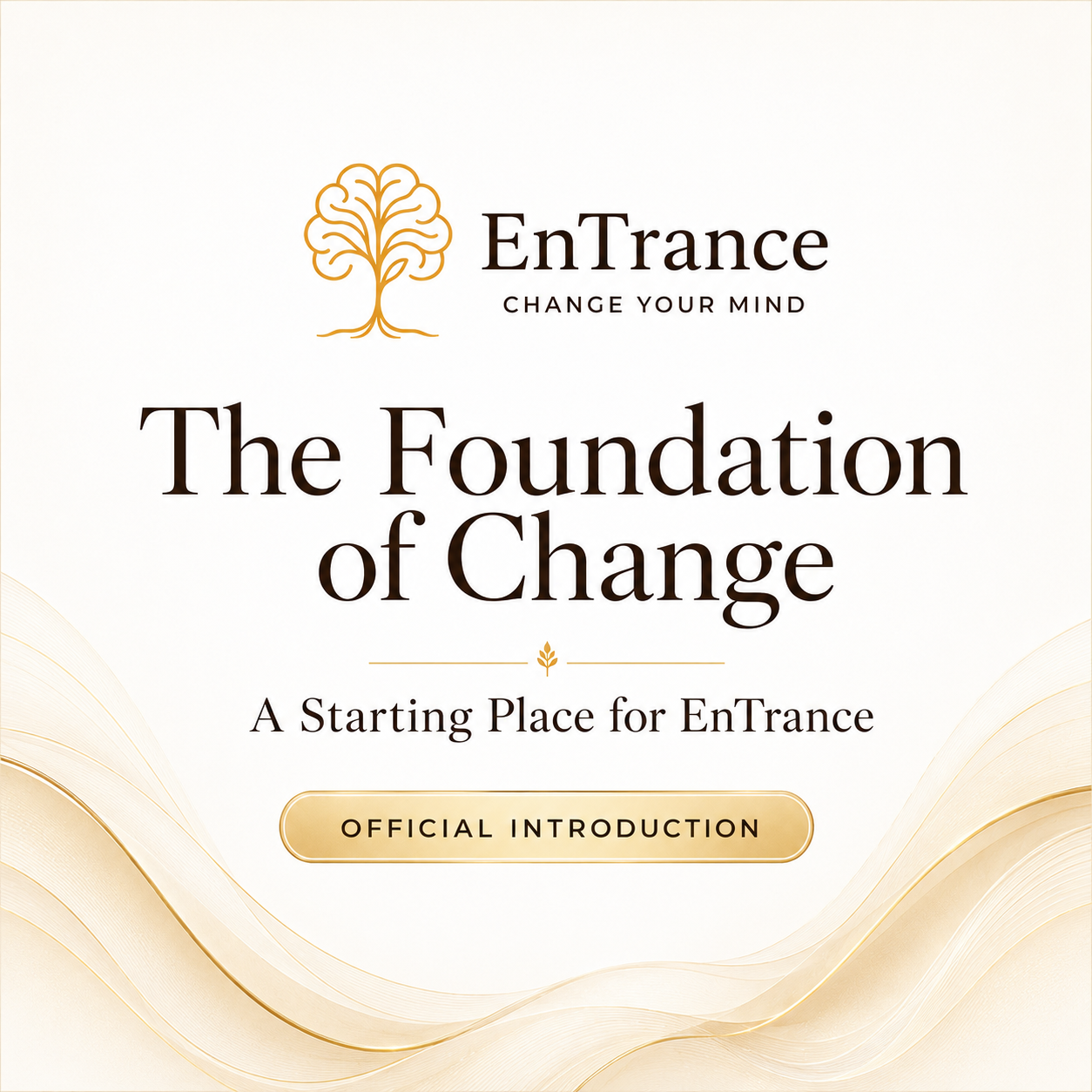 Cover of 'The Foundation of Change' by EnTrance with logo and text on a light background