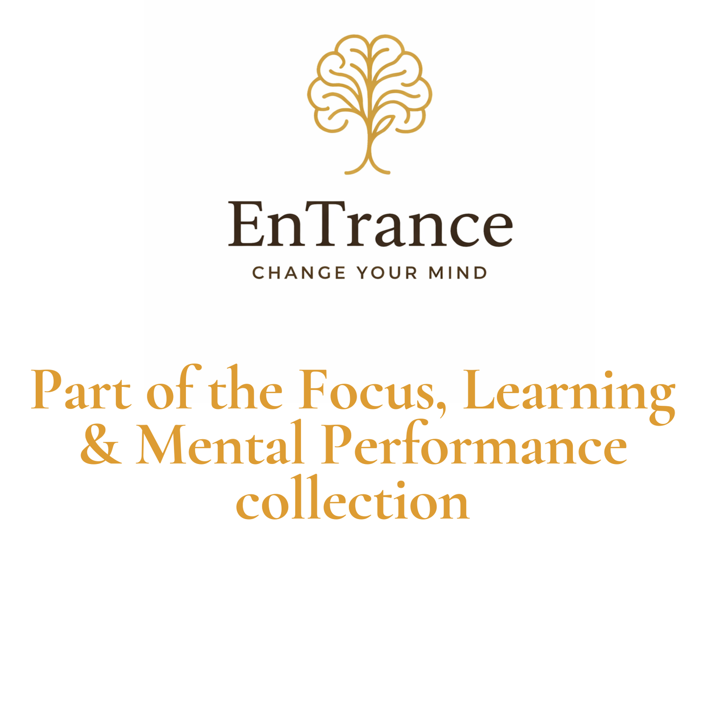 Focus & Deep Concentration